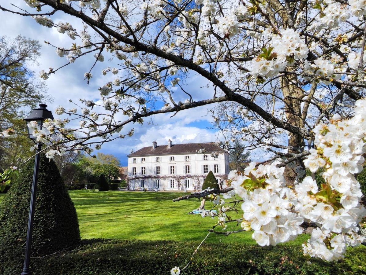 Chateau De Brinville Saint-Sauveur-sur-Ecole Exterior foto